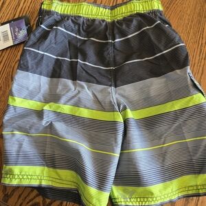 Gray and Neon Green Striped Swim Shorts